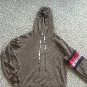 Sundry Brown Hoodie with Striped Sleeve